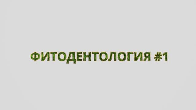 Фитодентология #1. Компоненты Фитодент. Видеоучебник. 2022