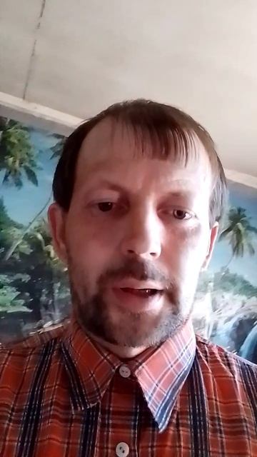 Кошка и кот Леопольд, которых помирил трёх котов.