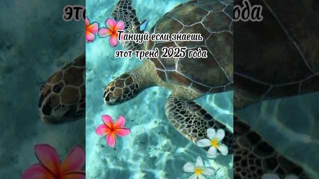 танцуй если знаешь этот тренд 2025 года💗
