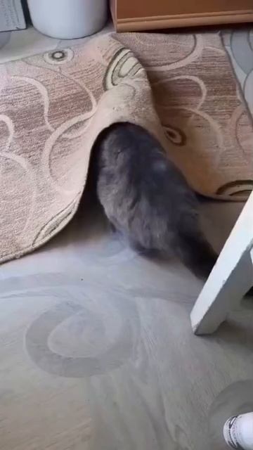По кайфую в тишине!
