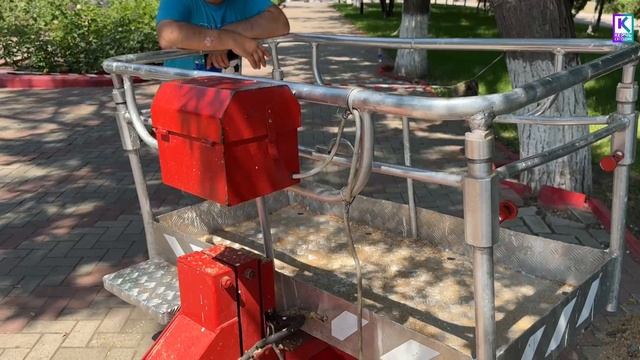 Опасное дерево спилили возле здания городской администрации