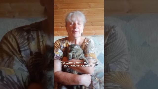 Обычный день нашей жизни.