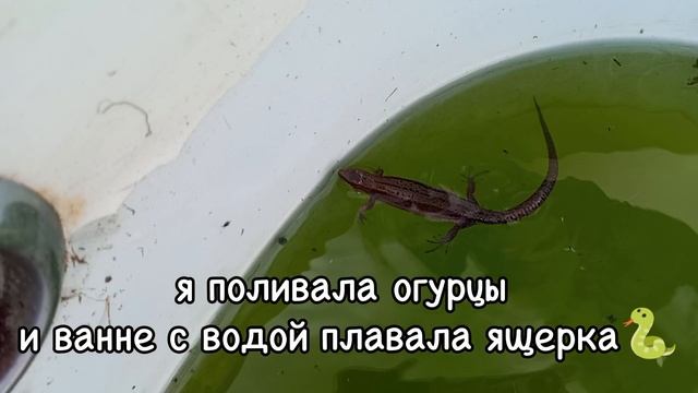 mini vlog /алишка на даче/😽𝑏𝑎𝑠_𝑑𝑎𝑦