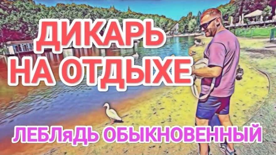 Обзор- Самвел Адамян НА ОТДЫХЕ С КИСЛОЙ МИНОЙ  СПОР С КОЛЕЙ. КТО ЛУЧШЕ