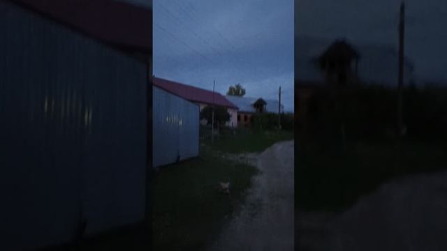 деревня моя деревянная дальняя