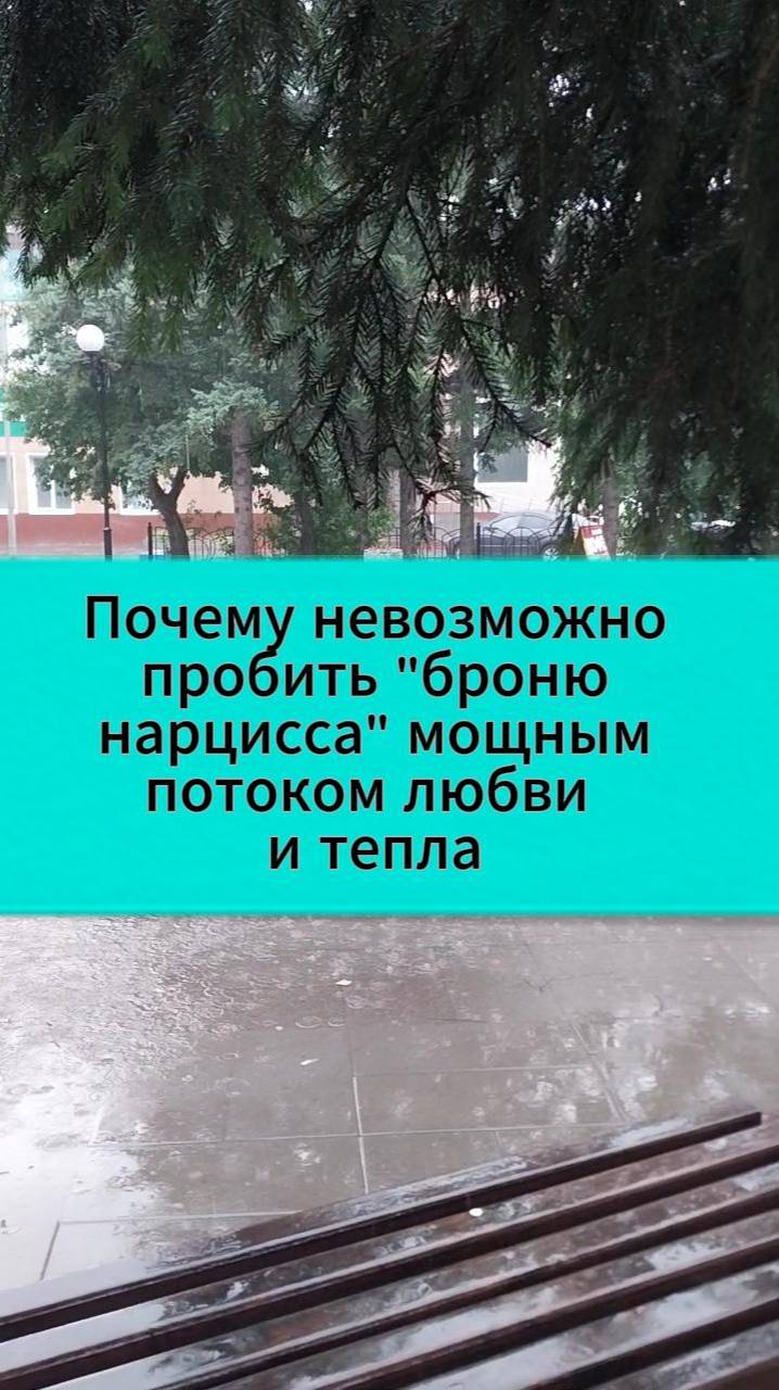 Почему нарцисс презирает тебя за любовь