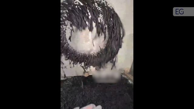 Шнековый экструзионный гранулятор DLG-120