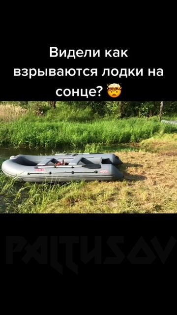 А ВЫ ВИДЕЛИ 😯 ???