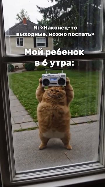 Когда ты мечтаешь о тишине и сне…