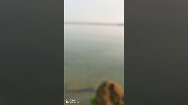 На Керченском берегу полный штиль и Божественная тишина.
