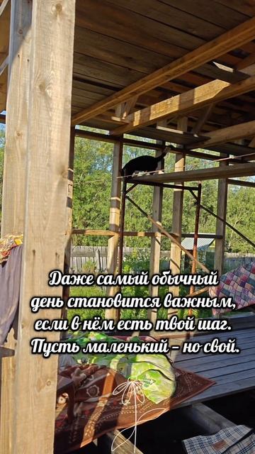 Будни женщины с хозяйством и характером