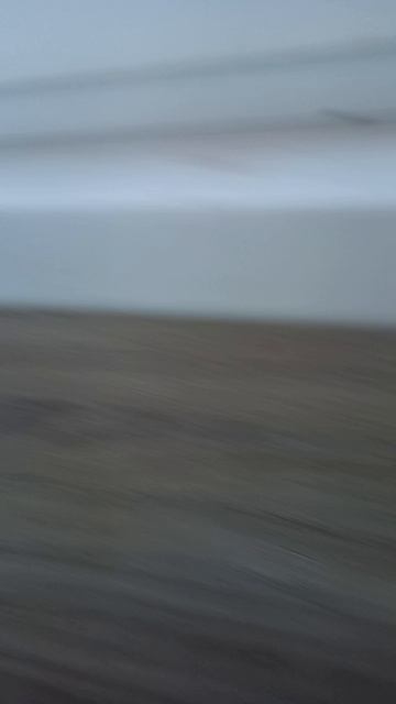 носок