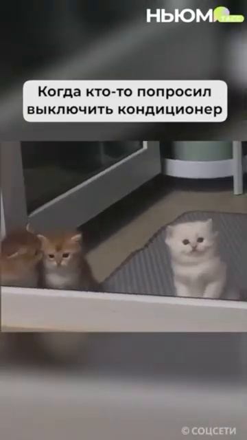 Летнее, актуальное.