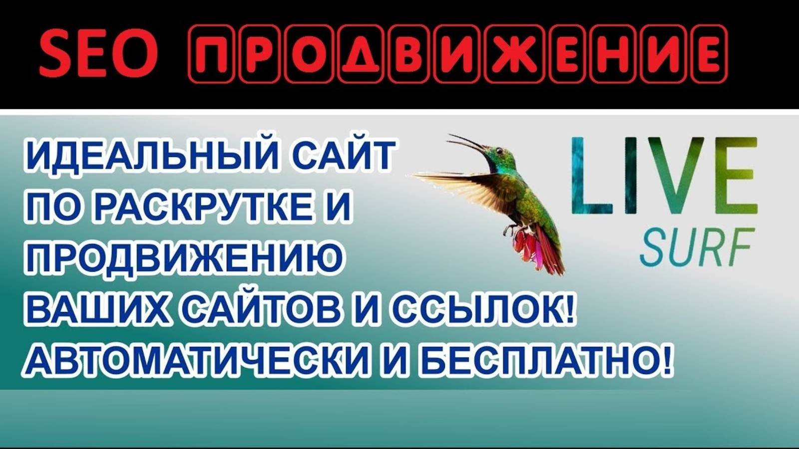 LiveSurf автосерфинг. Обзор сервиса