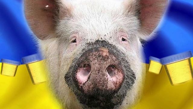 Обидчивый картавый мошенник 🐓🐓🐓🐓