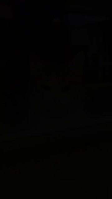 1000053472.mp4