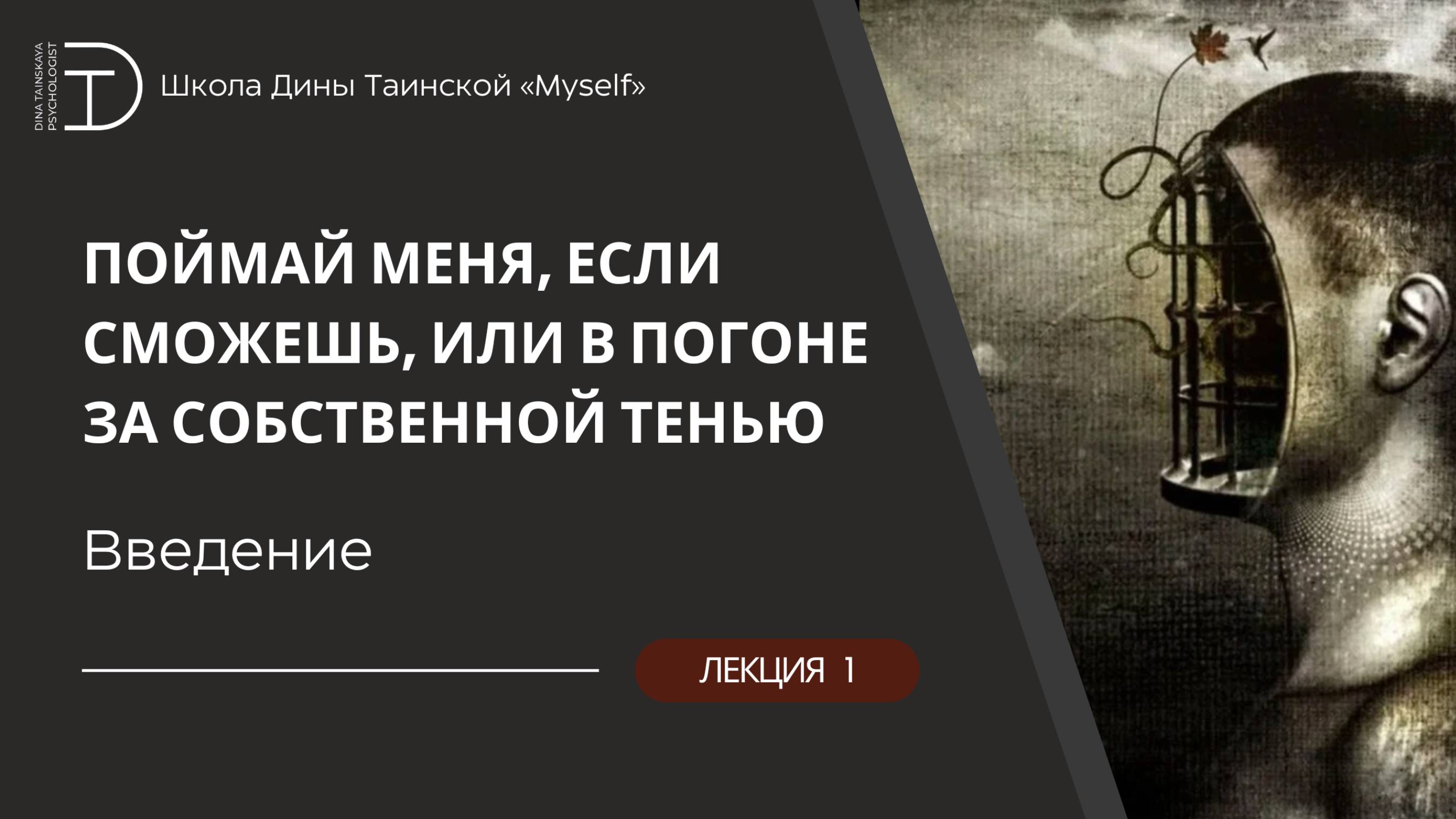 Введение в "Поймай меня, если сможешь" (Дина Таинская)