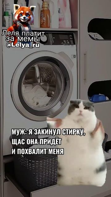 #funny #funny #мемас #memes #aveeplayerlegend #violin #сваты6 #cat #phonkagressive #automobile #love