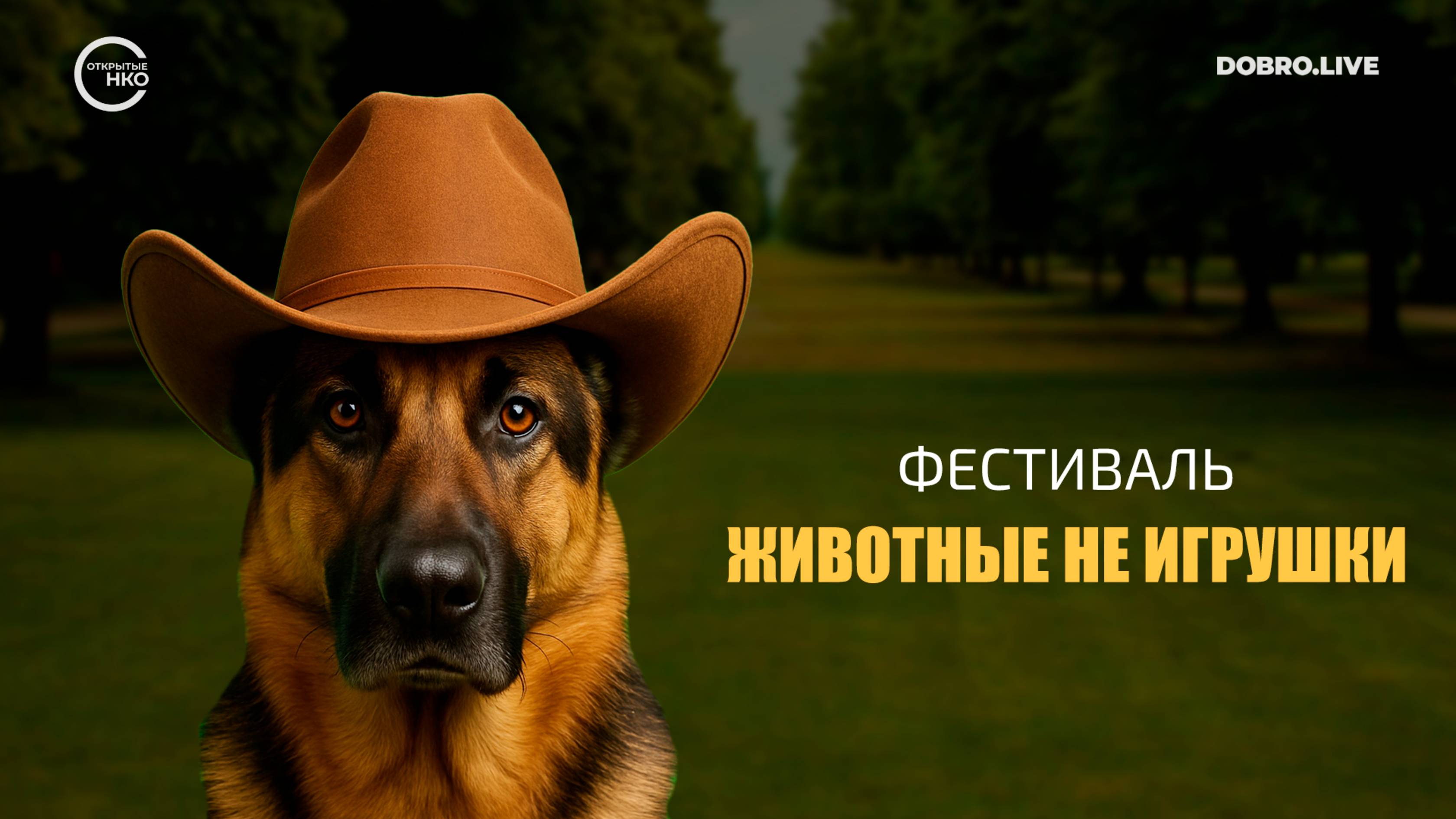 100 пар человек-питомец прошлись парадом в Череповце