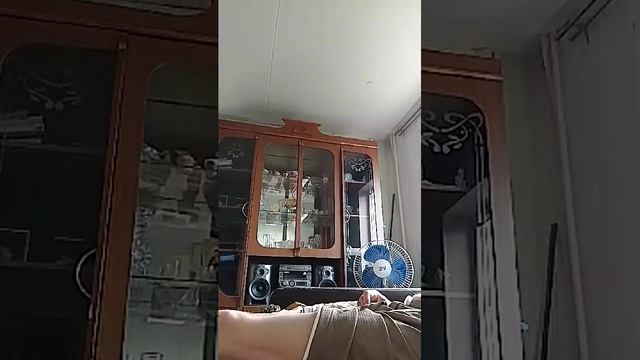 секс домашний онлайн