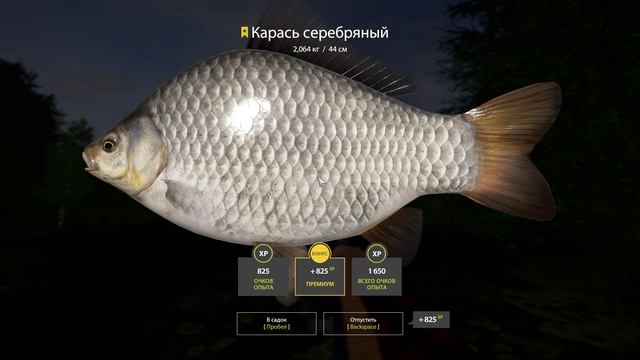 🌟Русская Рыбалка 4🎣 Трофейный Карась Серебряный на оз.Медное🌟