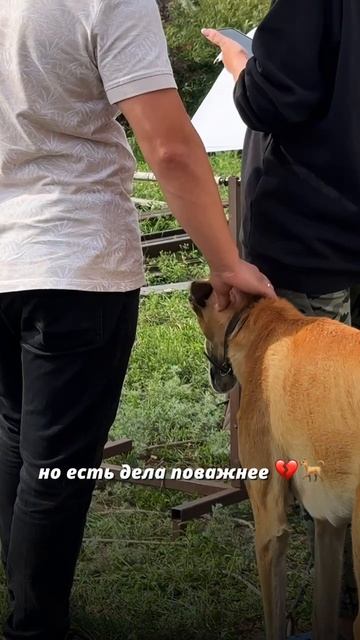 Милее этого видео вы уже ничего не увидите!