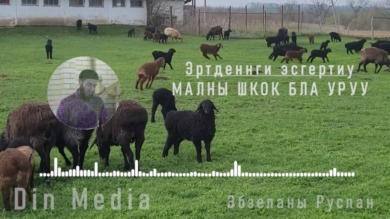 Малны шкок бла уруу I Эртденнги эсгертиу