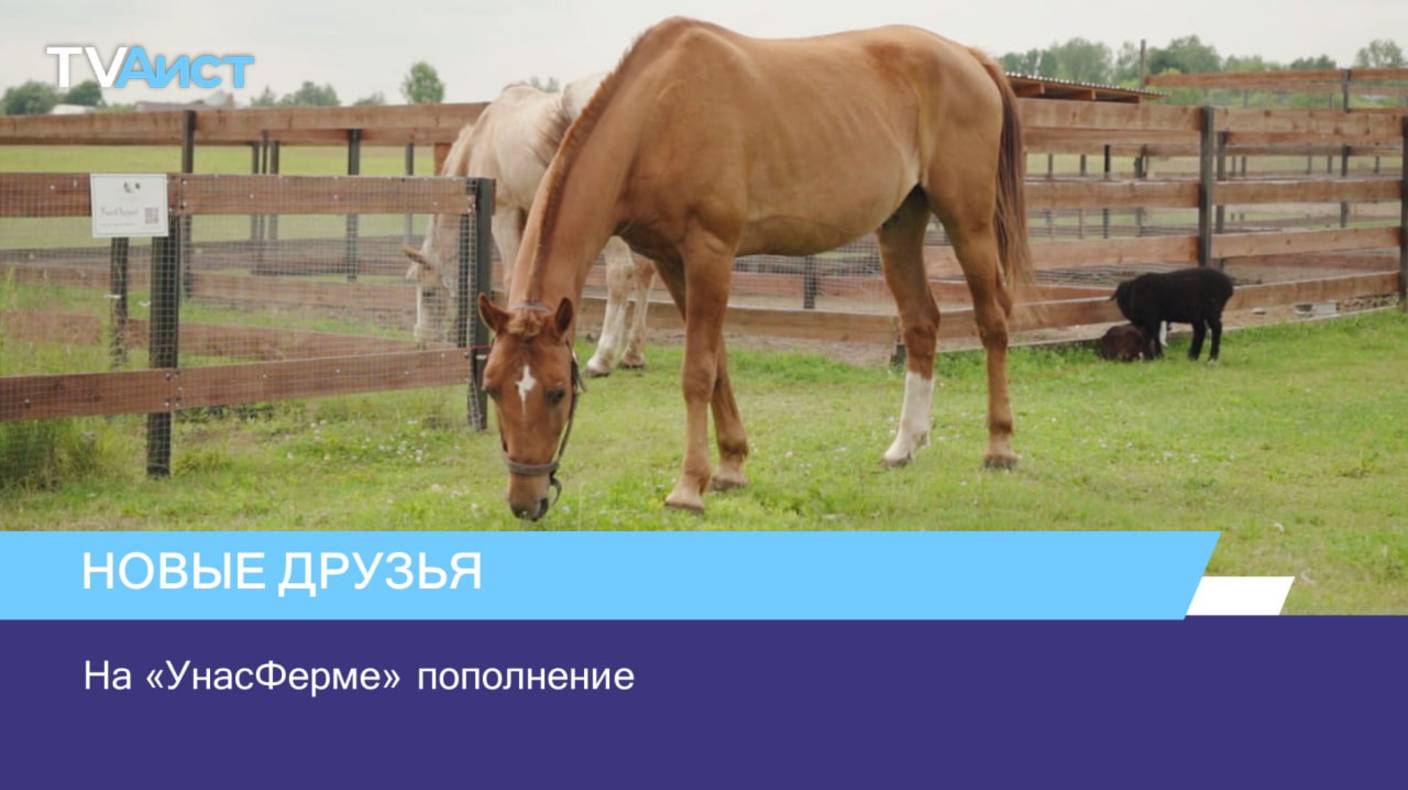 На «УнасФерме» пополнение