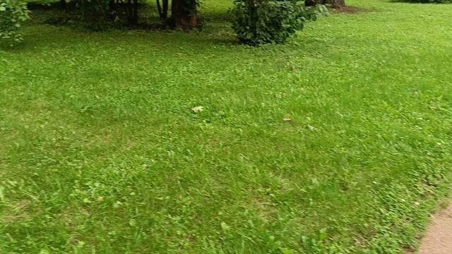 VID_20250708_112252