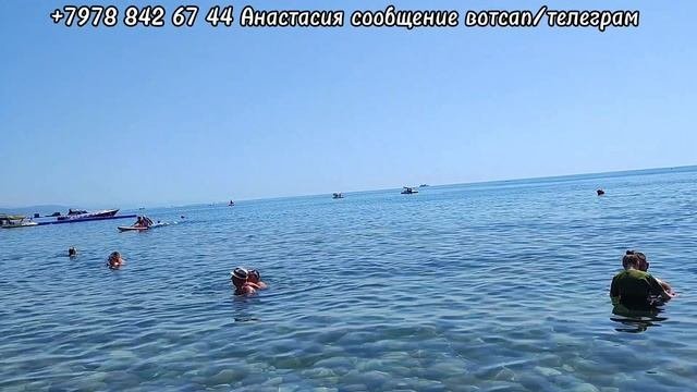 Отдых в Крыму. Сколько отдыхающих на пляже Алушты.