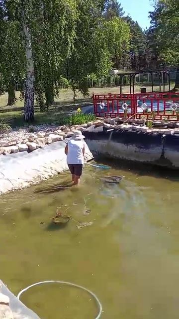 Ловись, рыбка, большая и ...