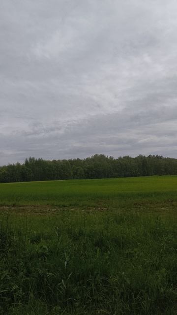 08-07-2025