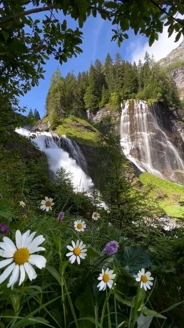 VID_20250708_015449_186.mp4