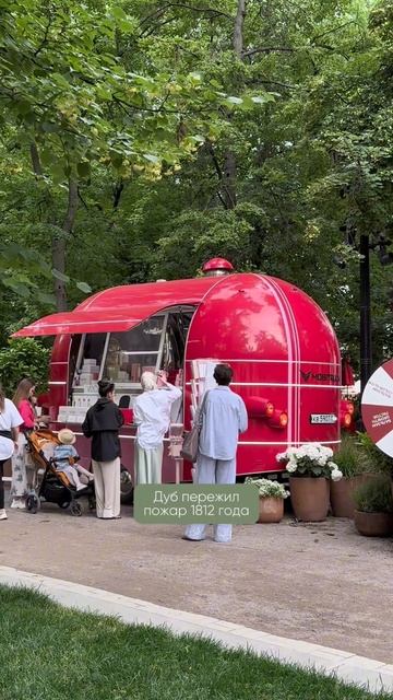 Немного о Тверском бульваре #экскурсия #москва #связьпоколений #бабушка #улицы #интересно #мудрость