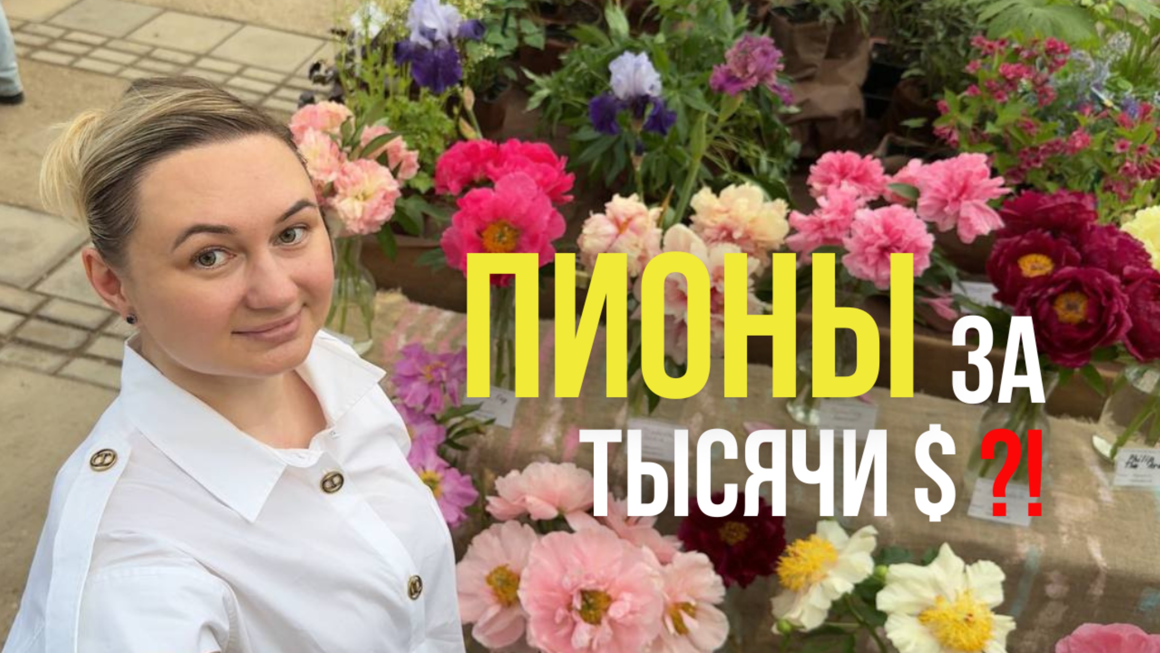 Пионы за 1000 долларов: редкие сорта, выставка и советы от селекционера