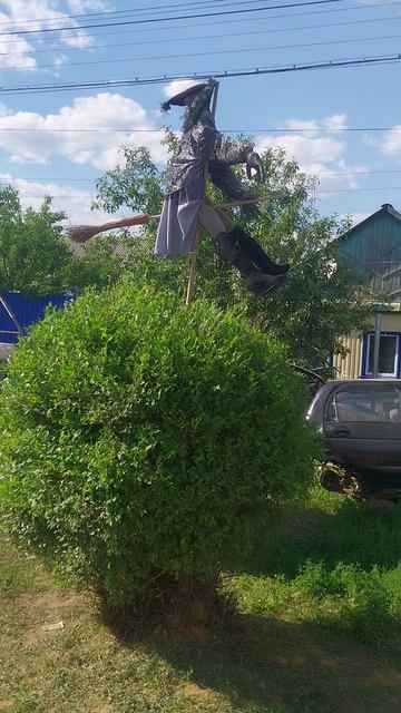долеталась