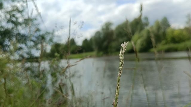 Река Клязьма.