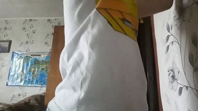тир