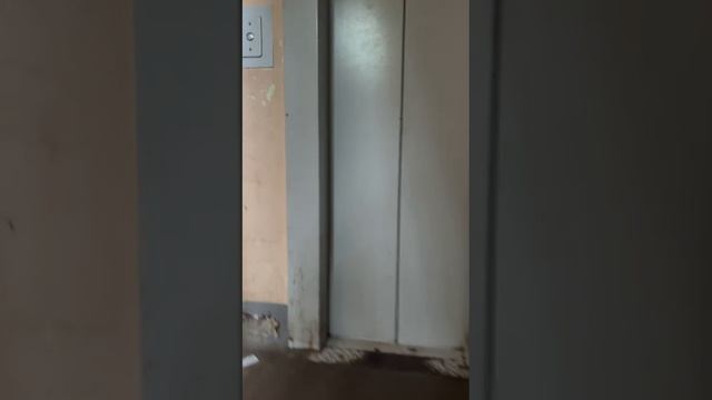 1000004707.mp4