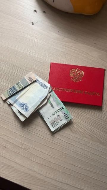 Влог сумки