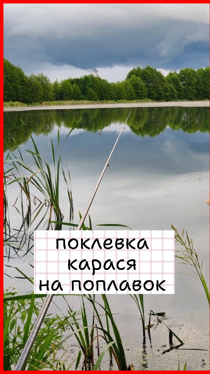Поклевка карася на поплавок