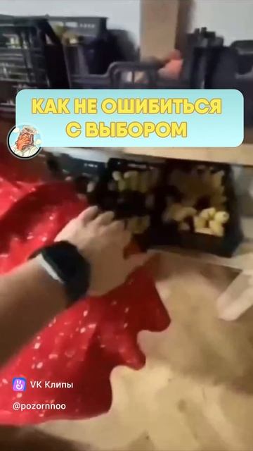 Оцените)