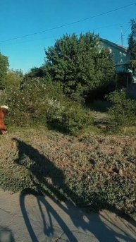 Выехали прокатиться на природу