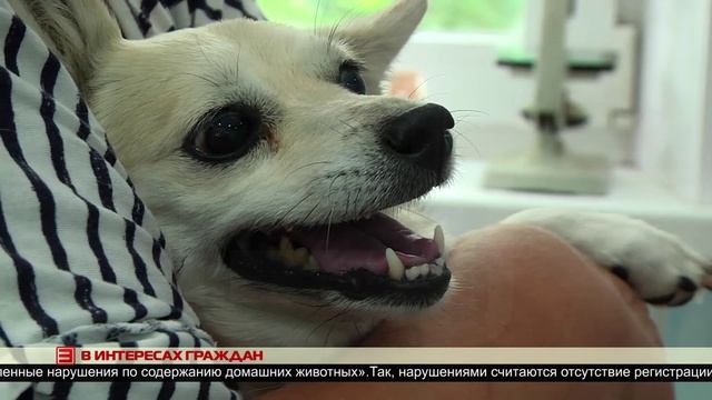 В интересах граждан 07.07.2025