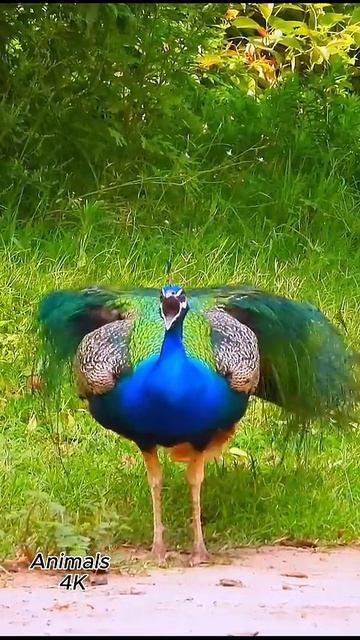 VID_20250708_141839_986.mp4.mkv