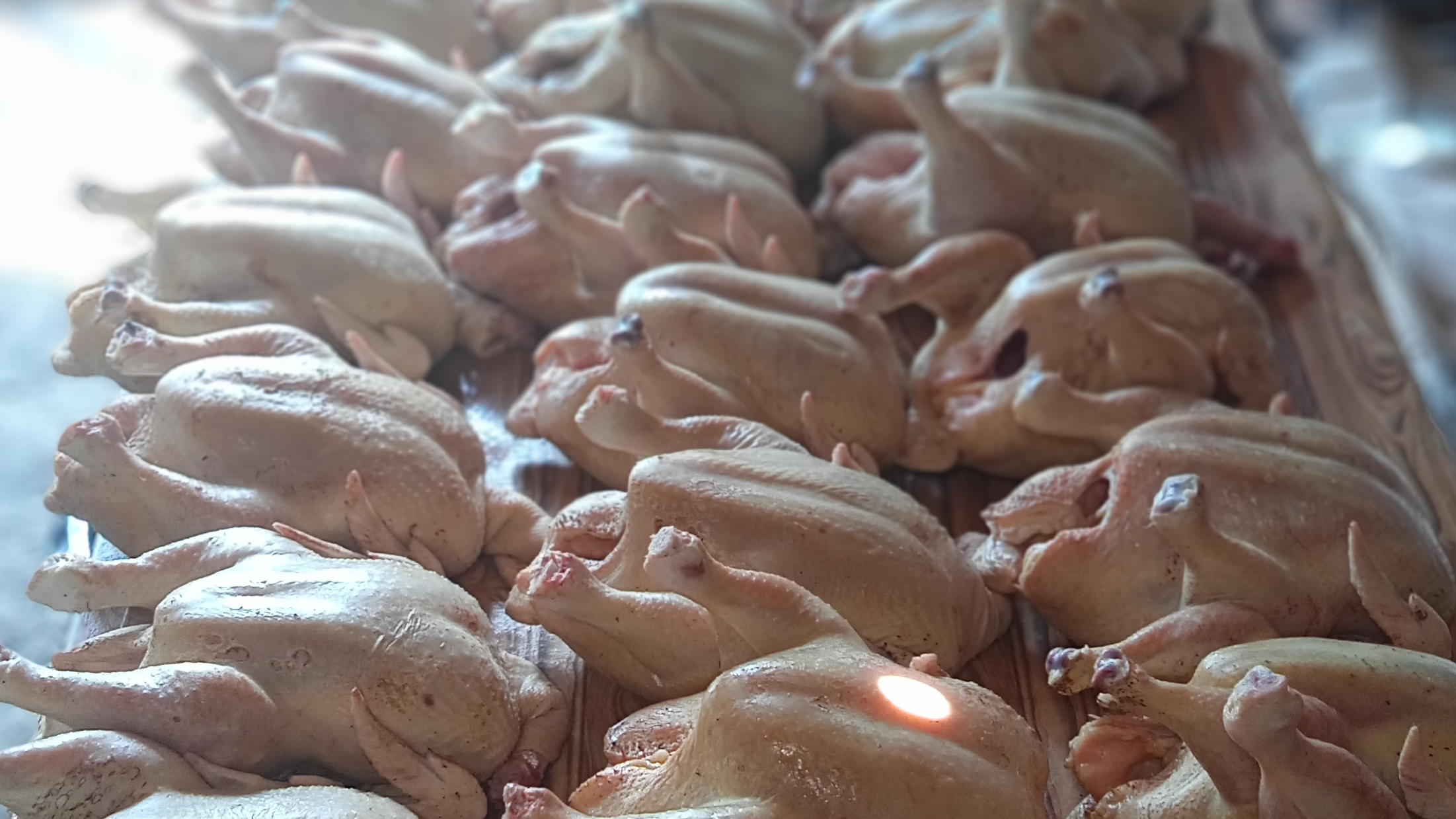 тушка бройлера