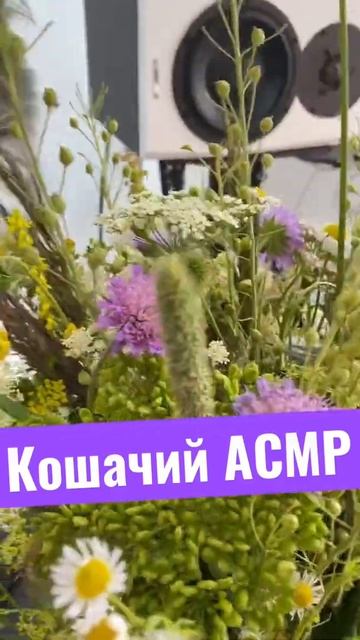 ЧТО ПРОИСХОДИТ! 🤯