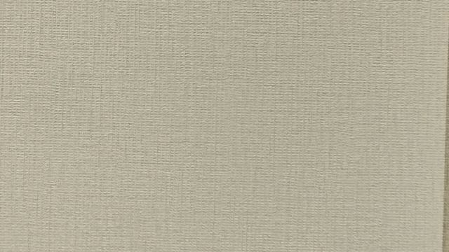 Обзор обоев Parati&Parati Uno FN26003