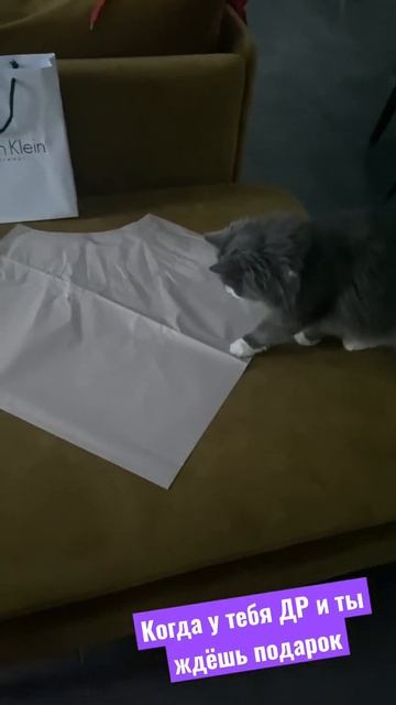 😭 ЖДАЛА ПОДАРОК НА ДЕНЬ РОЖДЕНИЯ