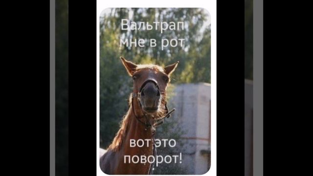 Для тех кто любит лошадей. ❤️🐎